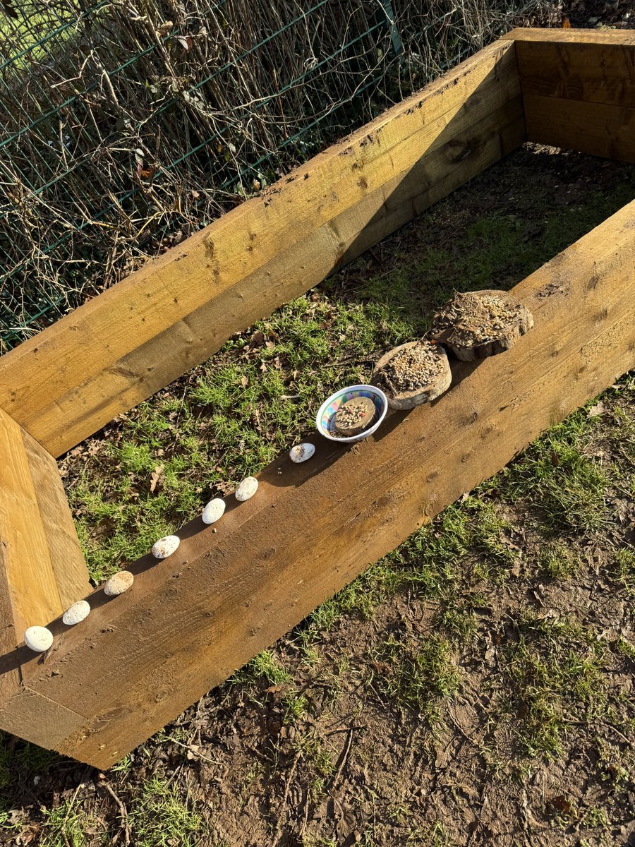 Monnow Primary School tweet media