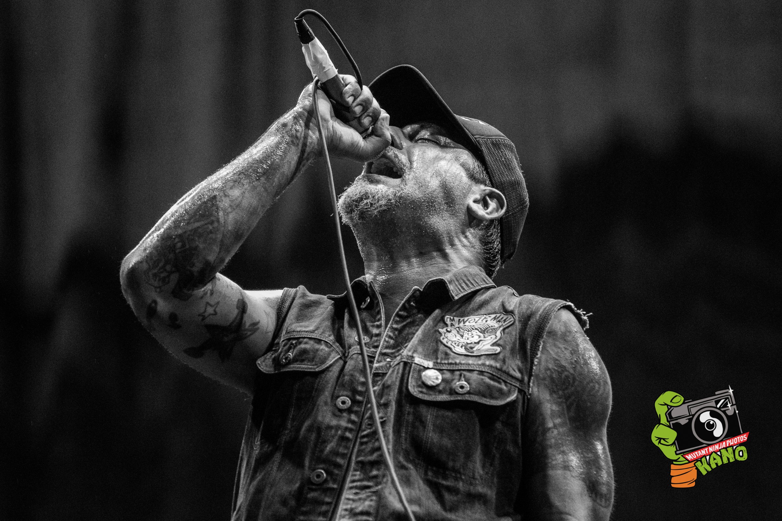 Fat Wreck Chords (@fat_wreck) / X