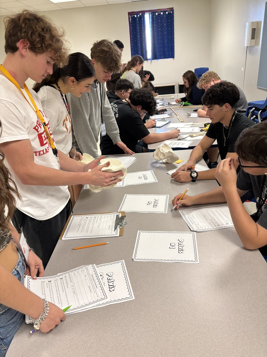 HHSCTE23's tweet photo. Students in Ms. Smith’s Forensic Science class are getting hands-on with forensic anthropology, analyzing bones to uncover clues and solve mysteries. https://t.co/VPeYwb9Mwl