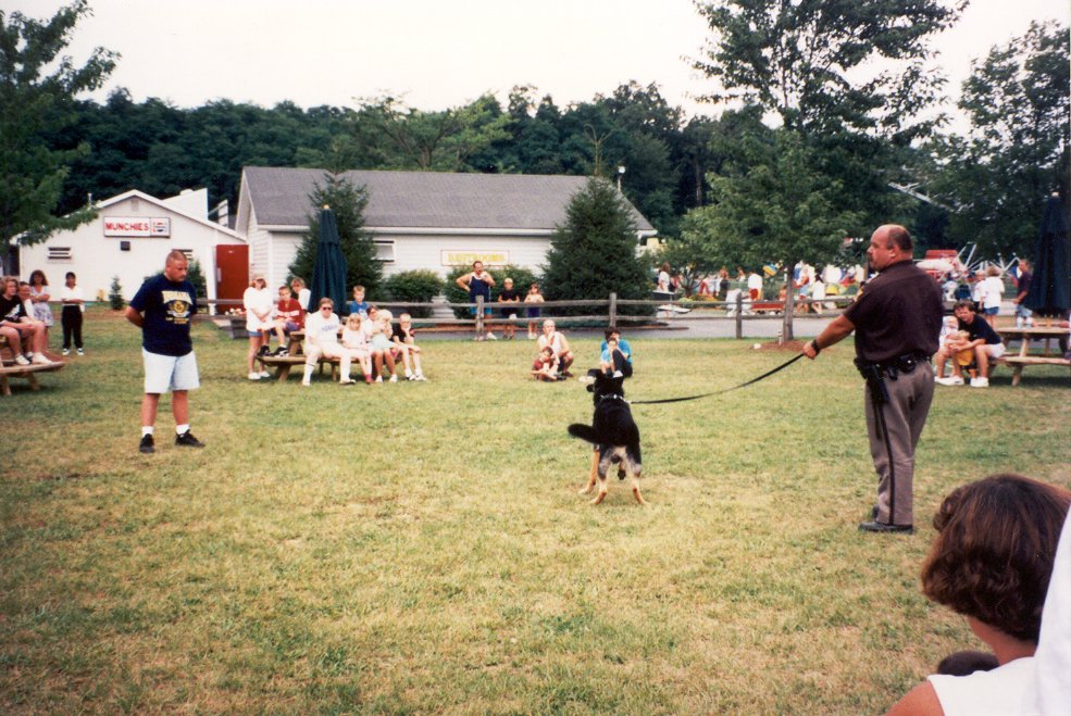AllenCoSheriff's tweet photo. #ThrowbackThursday (possibly late 1990's/early 2000's) Officer Bickel and K9 Locksley conduct a K9 demo for the community at the Fun Spot Amusement Park and Zoo in Angola, Indiana๐ท
#ACPD #sheriff #community #k9handler #k9training #k9dogs #k9unit #k9 #lawenforcement https://t.co/r7DyTTC4KW