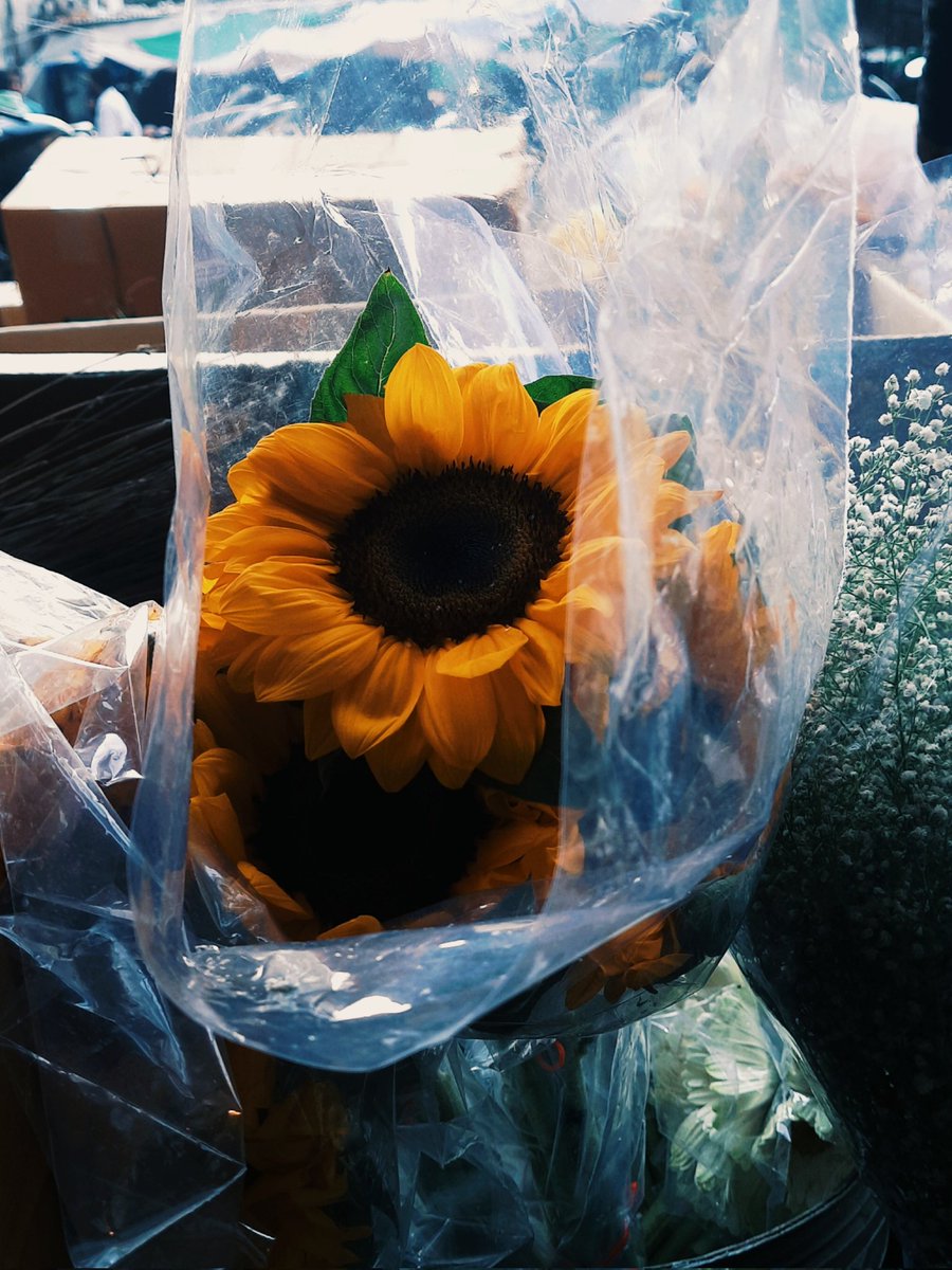 mohitparmar1_'s tweet image. flowers