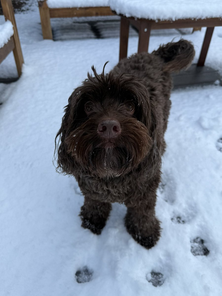 Madison Wade tweet media