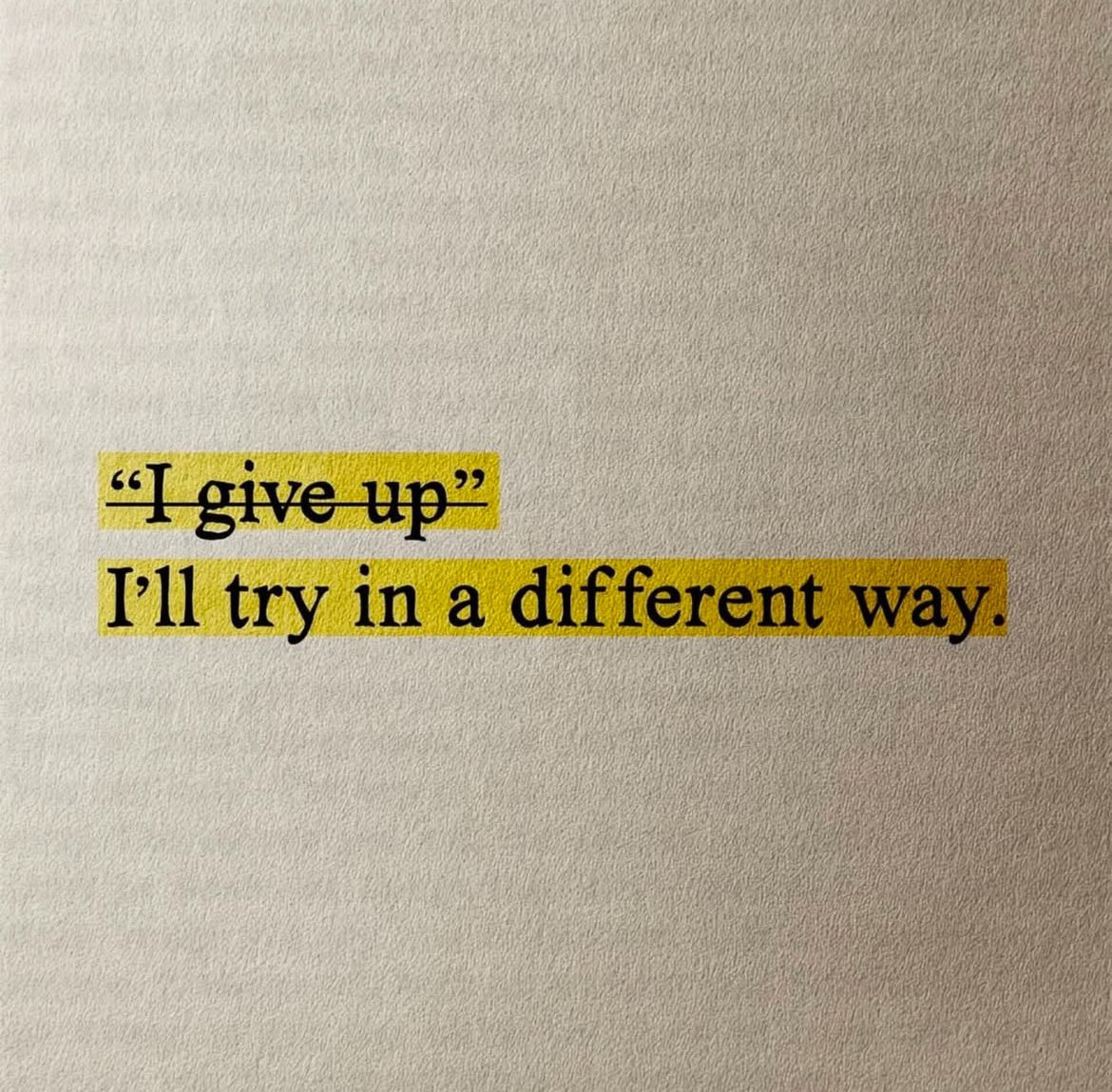 Nikita Koloff tweet media