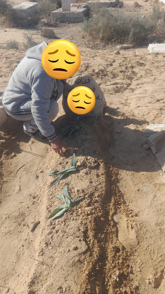 timi🍉 tweet media