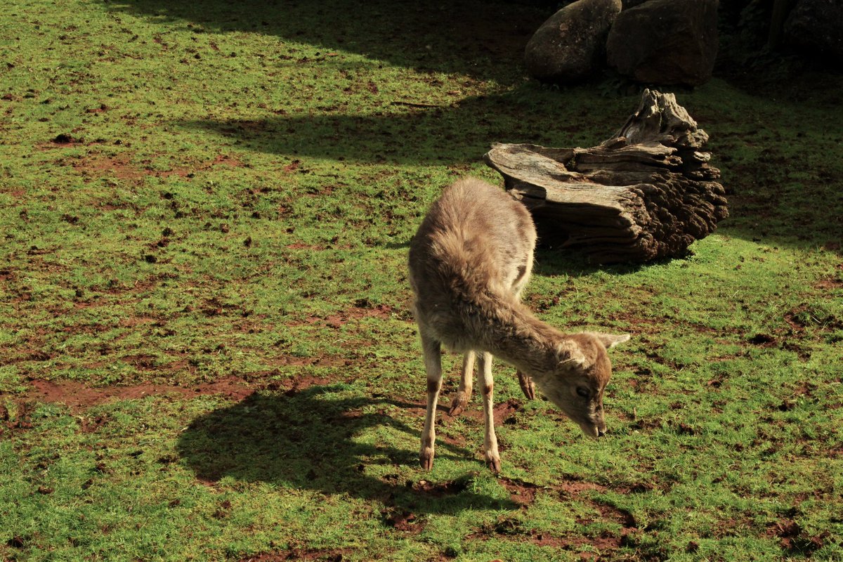 clarinha tweet media