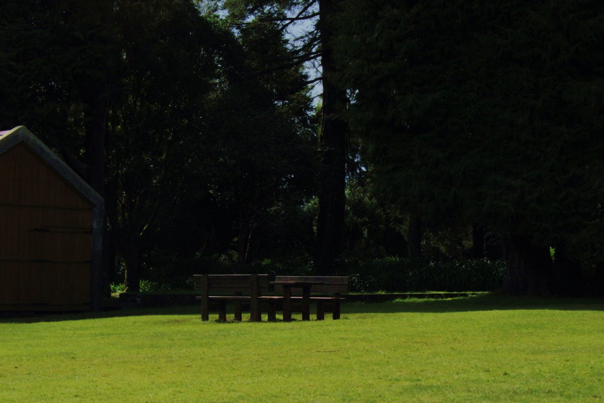 clarinha tweet media