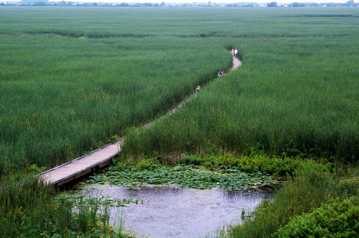 Parc national de la Péninsule-Bruce, Parcs Canada tweet media