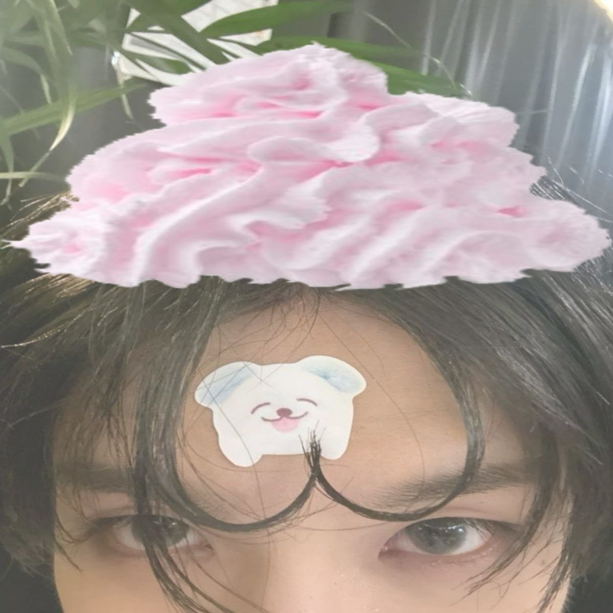 4haechann's tweet photo. 🗯️ (๑>◡<๑) ☆ ! https://t.co/CqryKub9Qj