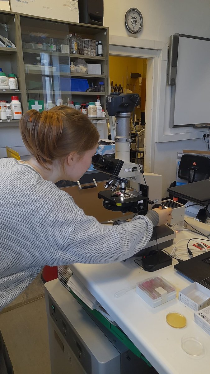 ASCUS Art & Science tweet media