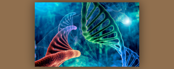 ICYMI: "Tumor Suppressor Gene Zygosity Can Predict Therapeutic Response in Cancer" doi.org/10.1158/2159-8…
A #ResearchWatch summary of a study by Mark Zucker, Maria Perry, <a href="/EdReznik/">Ed Reznik</a>, Chaitanya Bandlamudi, and colleagues <a href="/MSKCancerCenter/">Memorial Sloan Kettering Cancer Center</a> #LungCancer