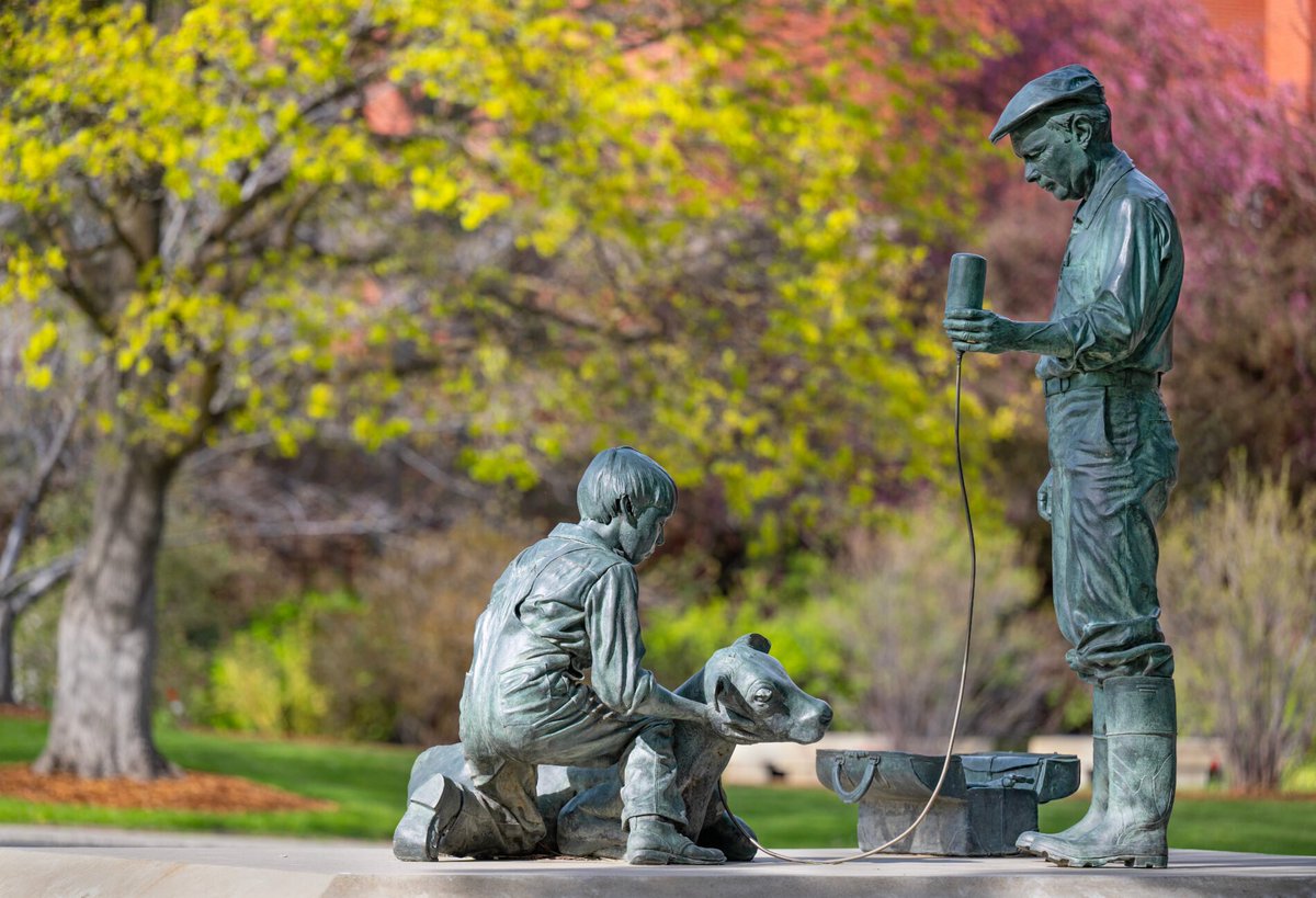 CareersWSU's tweet image. Are you seeking a new #CareerOpportunity? Check out: wsu.wd5.myworkdayjobs.com/en-US/WSU_Jobs…
✨@WSUvetmed is hiring a Coordinator to support their Department of Veterinary Microbiology and Pathology (VMP)! 
❄️Learn more by clicking the link above!
#GoCougs #Coordinator #HiringNow