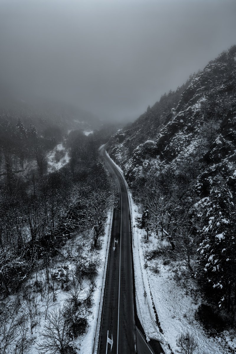 shurivich's tweet photo. Wow, I'm speechless. 

Thanks for supporting my spontaneous mood! Glad "Wrong Way" resonated with you. Huge thanks to @nft_clctr, @tokioflo, @saucebook, @AnnaLZubarev, @LeslieASpurlock, @jpeg2023 and @Viorika_art - you are amazing, my friends!

Wrong Way
5 XTZ - OE
https://t.co/5Htug1FQ8f