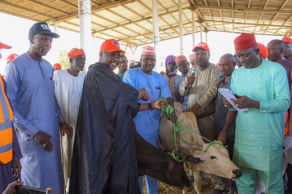 KanoPastoral's tweet image. KSADP, funded by #IsDB & #LLF, continues to support people in Kano with free livestock (Bulls and rams), feeds & medicaments! Bull & ram fattening reduces animal movements thereby fattening them more quickly. Larger animals can be sold for more profit as they yield more meat.