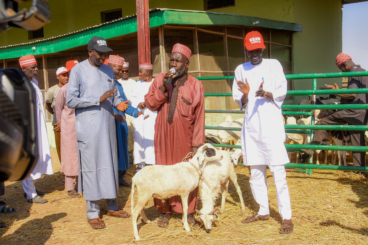 KanoPastoral's tweet image. KSADP, funded by #IsDB & #LLF, continues to support people in Kano with free livestock (Bulls and rams), feeds & medicaments! Bull & ram fattening reduces animal movements thereby fattening them more quickly. Larger animals can be sold for more profit as they yield more meat.