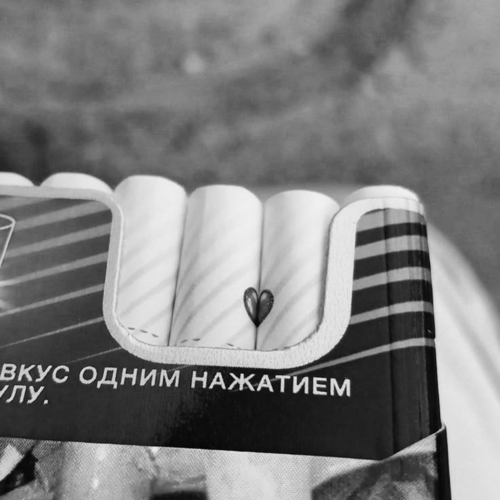 stap1c's tweet image. я бежал на чердак повеситься, 
но упал — поскользнулся на лестнице. 
торопился успеть до полночи, 
а открыл глаза — уже солнечно.