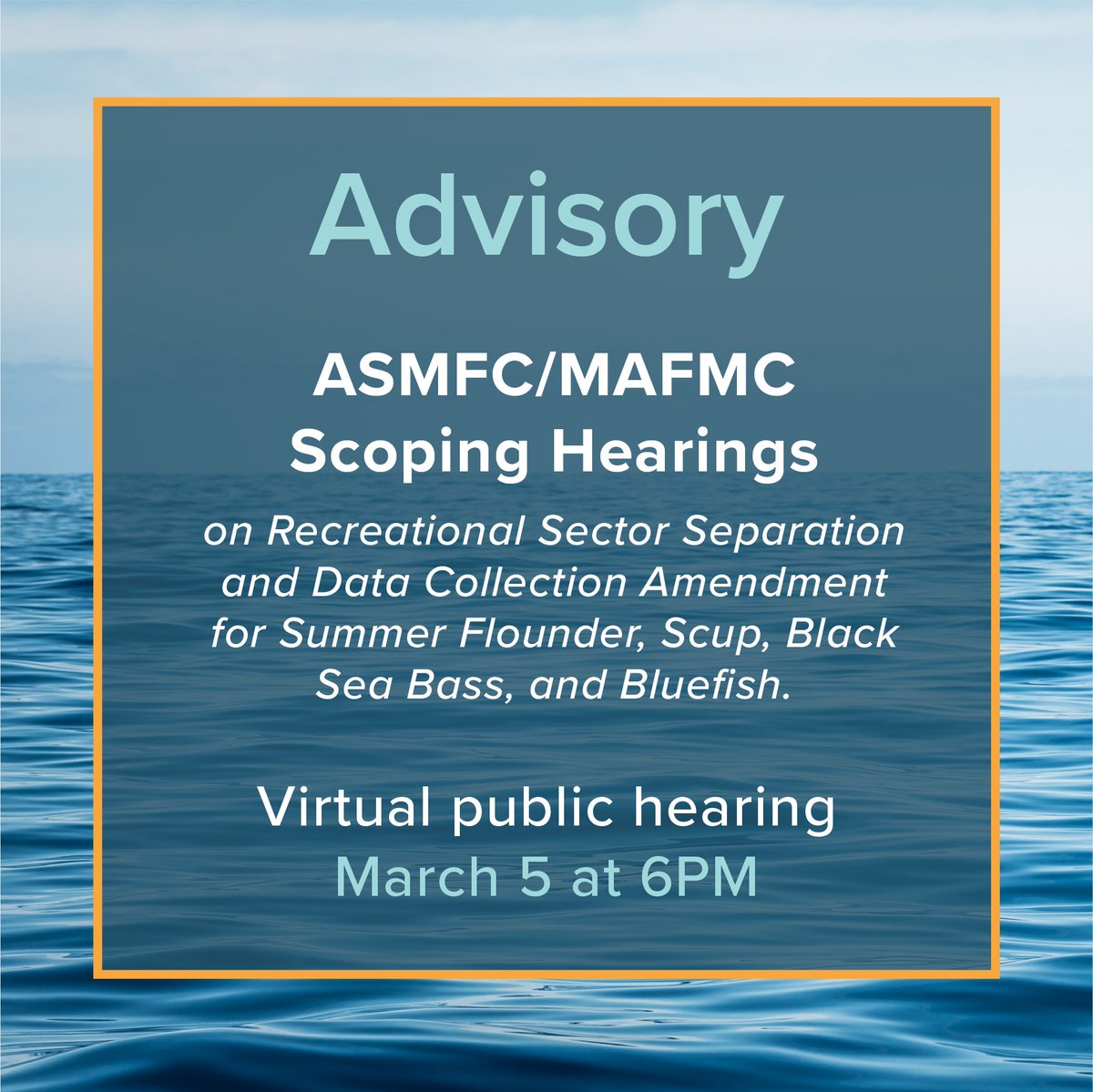 MA Division of Marine Fisheries tweet media