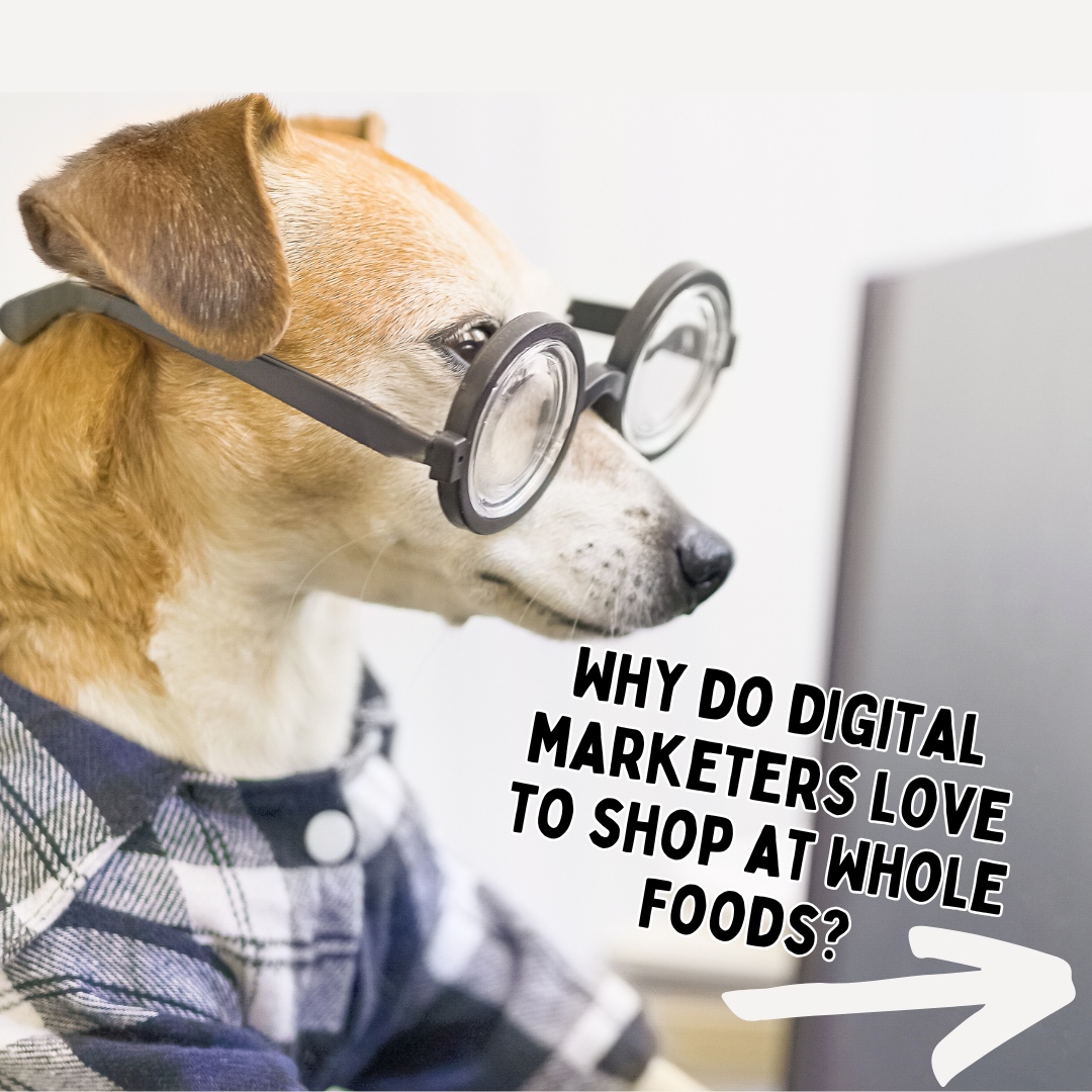 NEKOVermont's tweet image. Digital marketers know where to find the best content. 

#OrganicContent #MarketingHumor #SEOJokes #ContentMarketing #DigitalMarketing #SocialMediaMarketing #MarketingLife #SEO #MarketingMemes #NEKOVT