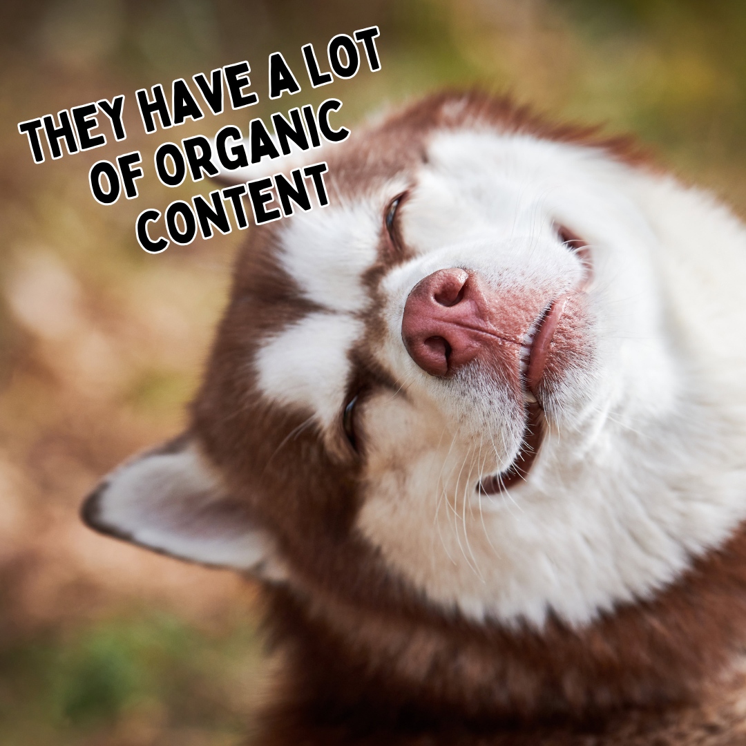 NEKOVermont's tweet image. Digital marketers know where to find the best content. 

#OrganicContent #MarketingHumor #SEOJokes #ContentMarketing #DigitalMarketing #SocialMediaMarketing #MarketingLife #SEO #MarketingMemes #NEKOVT