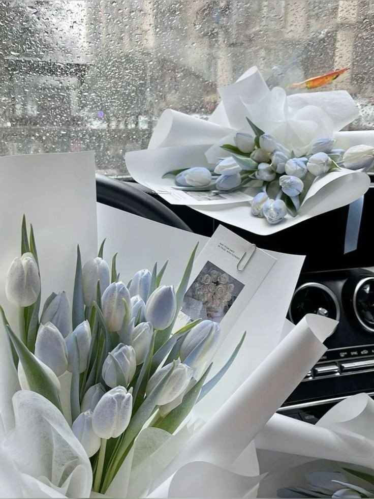 Exulansista's tweet photo. tulips. https://t.co/1A8bcOyXd4