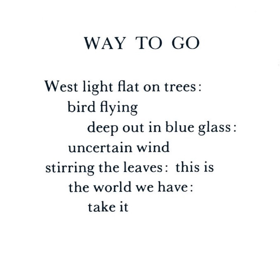 Dr. Maya C. Popa tweet media