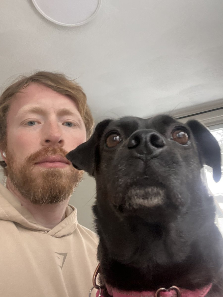 FightMass's tweet photo. neither of us are amused by this weather #picklesupdate https://t.co/4T9x7nLnDX