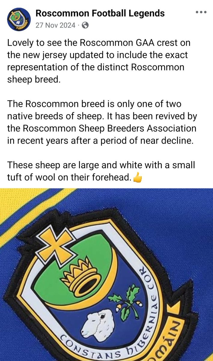 RoscommonGAALegends tweet media