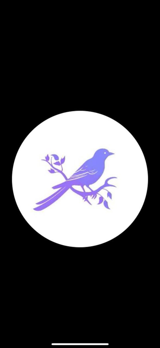 I’m hearing whispers that <a href="/perchpoint_co/">perchpoint.co</a> is crypto’s 4chan? 

Update will coming soon.

🍞🧑‍🍳