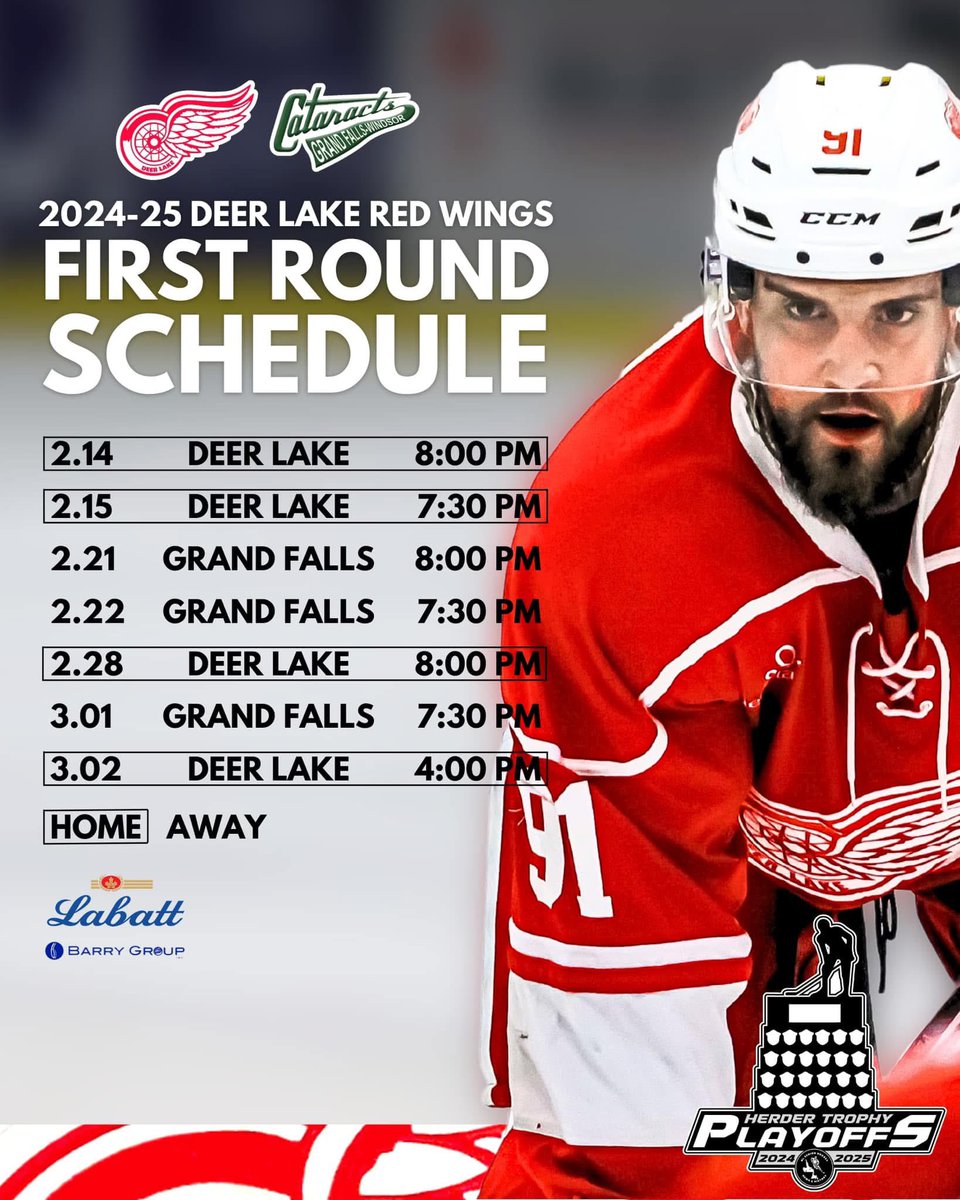 Deer Lake Red Wings tweet media