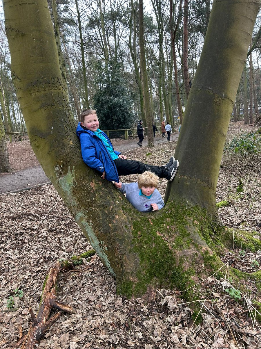 Phoenix Academy enjoying themselves on their attendance trip today to Yorkshire Wildlife Park! 🐆🐂