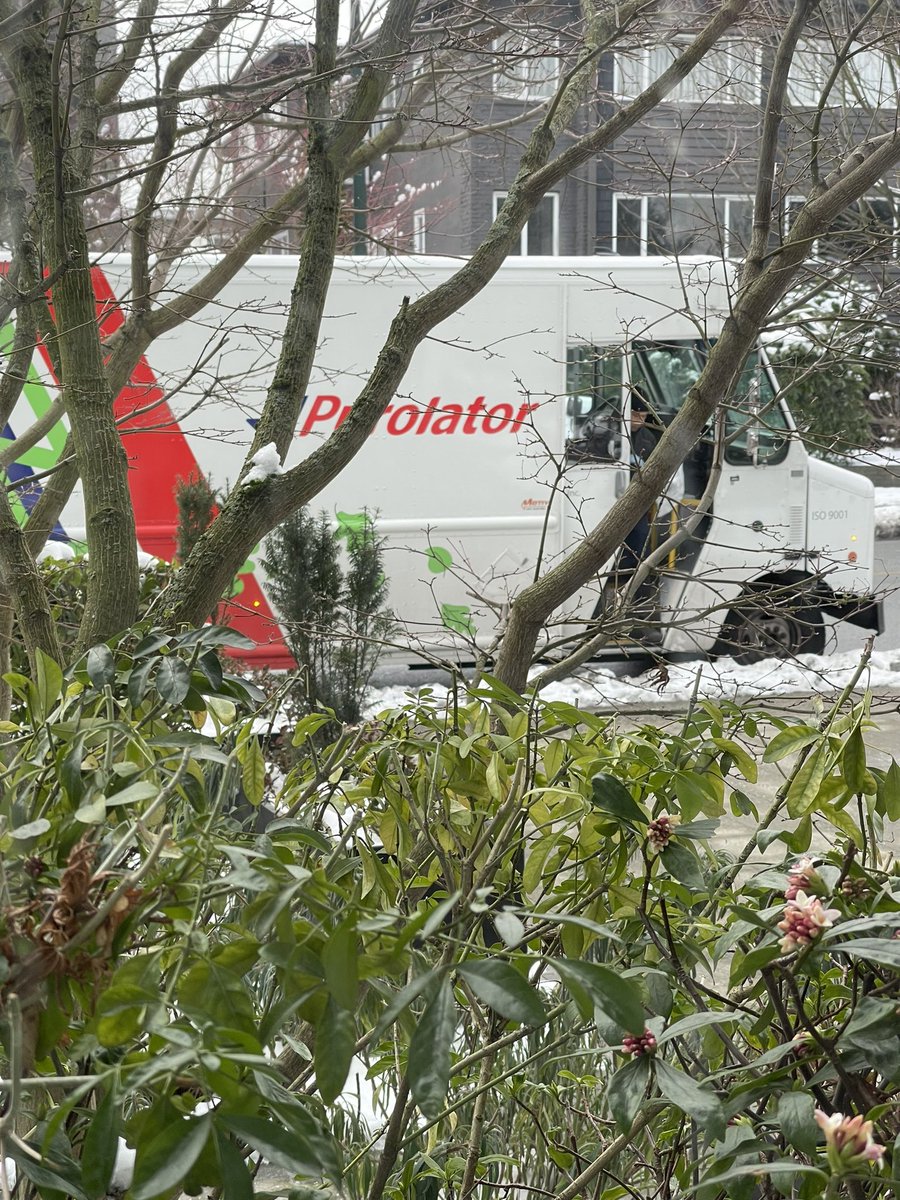 linearIND's tweet photo. @UPS delayed day 4 now due to “emergency” weather.  Weird that other services can make it every day.

And you won’t even answer my DM’s now https://t.co/Ze6KC3uh2f