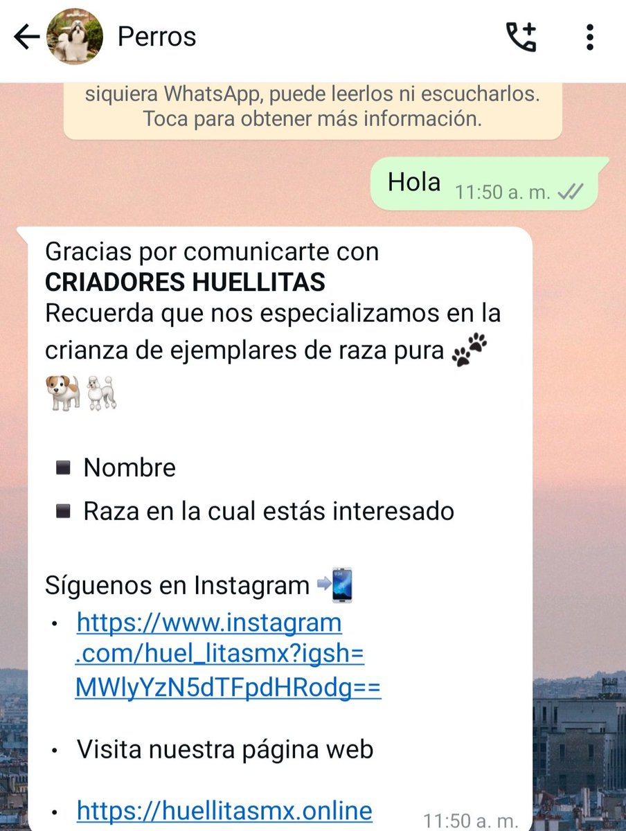 Dayfernandes90's tweet photo. @SSPCMexico Para las vacunas del "covid que faltaba" ( fue cuando mi puse nerviosa porque no sabía que perro tenía vacuna del covid). Y luego no mi contestaron, intente de todos los modos hablar con ellos. Son uno estafadores. https://t.co/72wNMeydzv