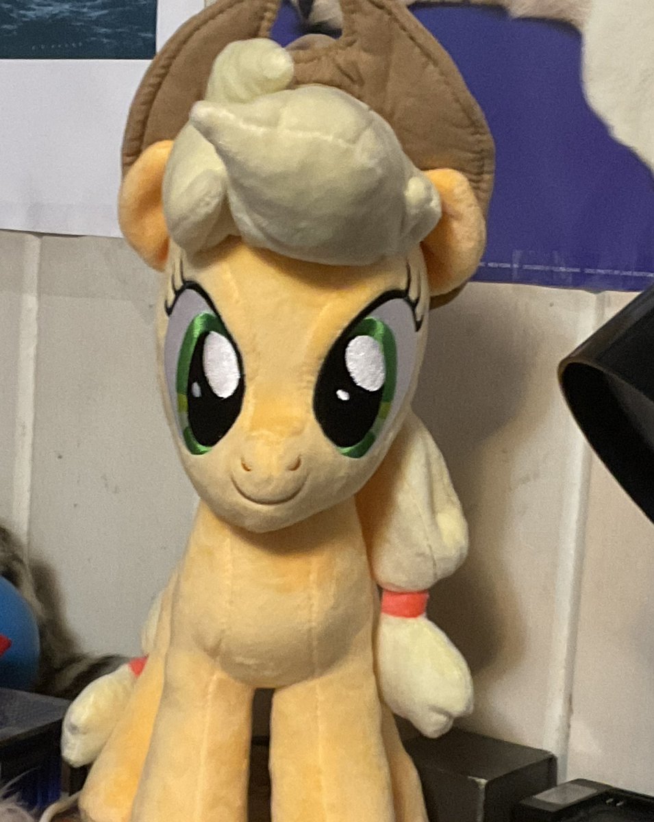 CapLP7800's tweet photo. Today, my mother finally figured out that I spent nearly $40 on a plush. https://t.co/5GBeLrMKI7