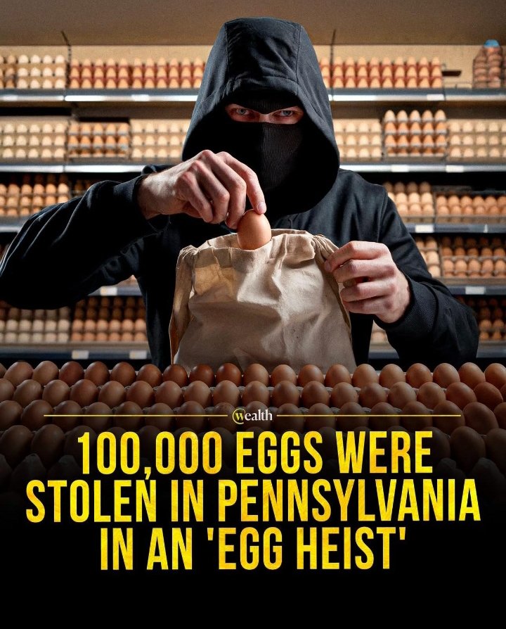 stannlaw84's tweet photo. #eggheist #USA #UnitedStates https://t.co/Uhe4lQsSGo