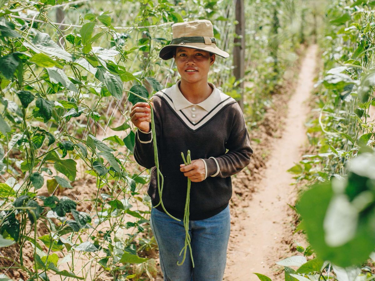 How do communities work to end hunger? 🍽️ They...

🥕 Plant gardens for nutritious veggies
👶 Target malnutrition by improving childhood nutrition
🌱 Restore acidic soil with sustainable farming practices
👨‍🌾 &amp; more!

It all helps achieve food security &amp; better nutrition!
#IDW2025