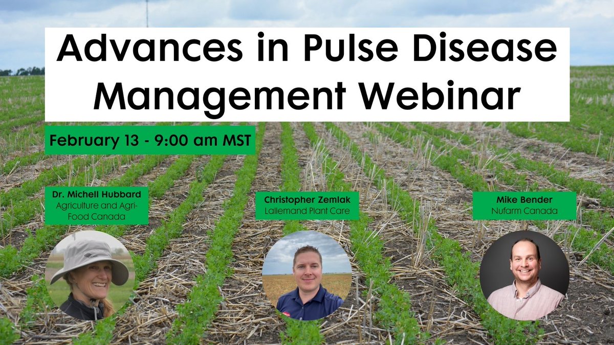 Be sure to join us at our webinar next Thursday to learn about advances in pulse disease management! Hear from industry experts on how to get your crop off to the strongest start possible. Register here:  events.teams.microsoft.com/event/f1f90277… #WestCdnAg