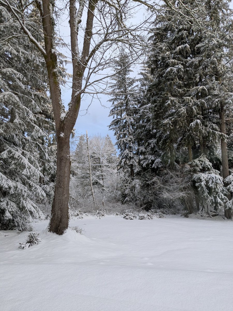 Ahhh ... Just a little more of the pretty stuff. ❤️❄️

<a href="/MyPeakChallenge/">My Peak Challenge</a>