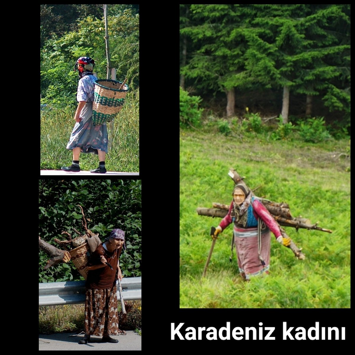 Recep Köroğlu tweet media