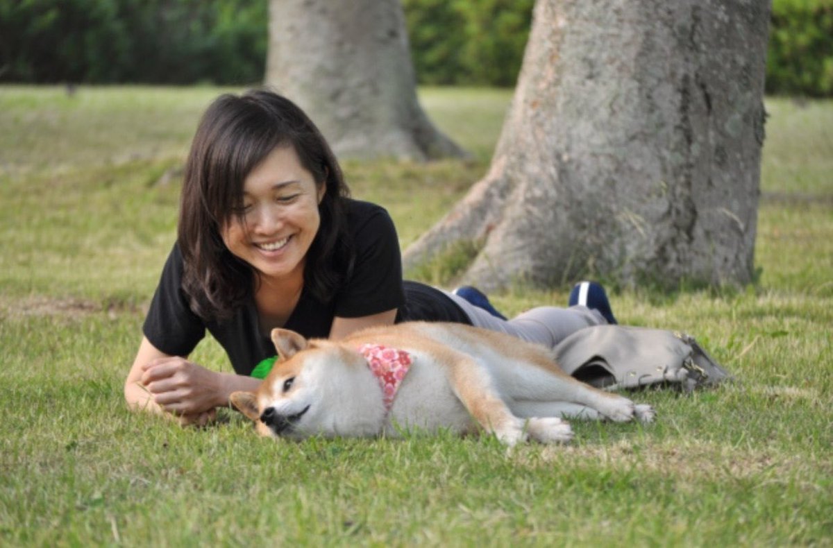 vitalik.eth tweet media