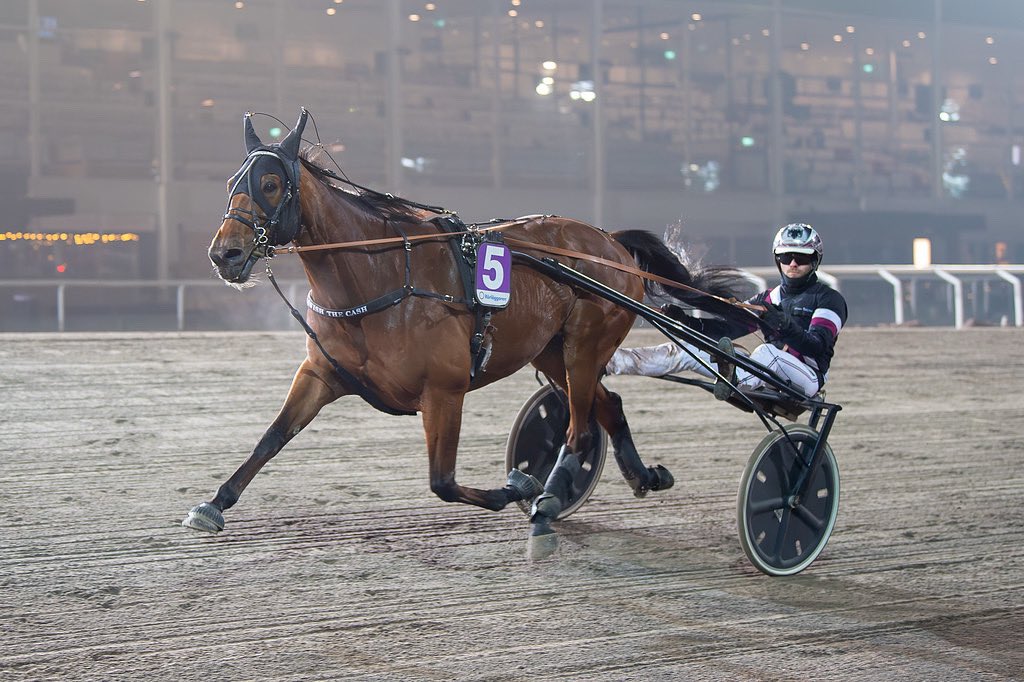 Swish The Cash 💰🥇❤️