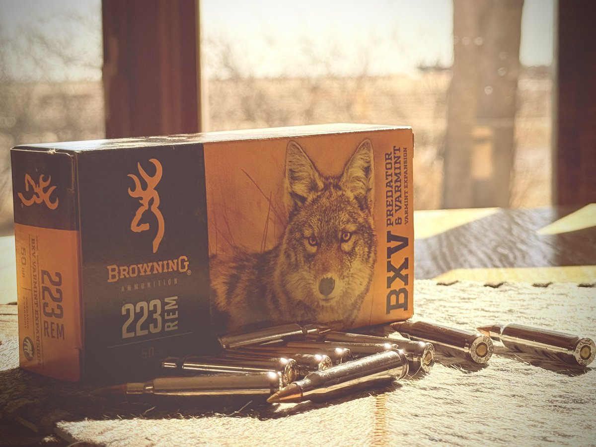 Wiley Coyotes! 😎 great time of year. #coyote #coyotehunting #pewpew #buckmark