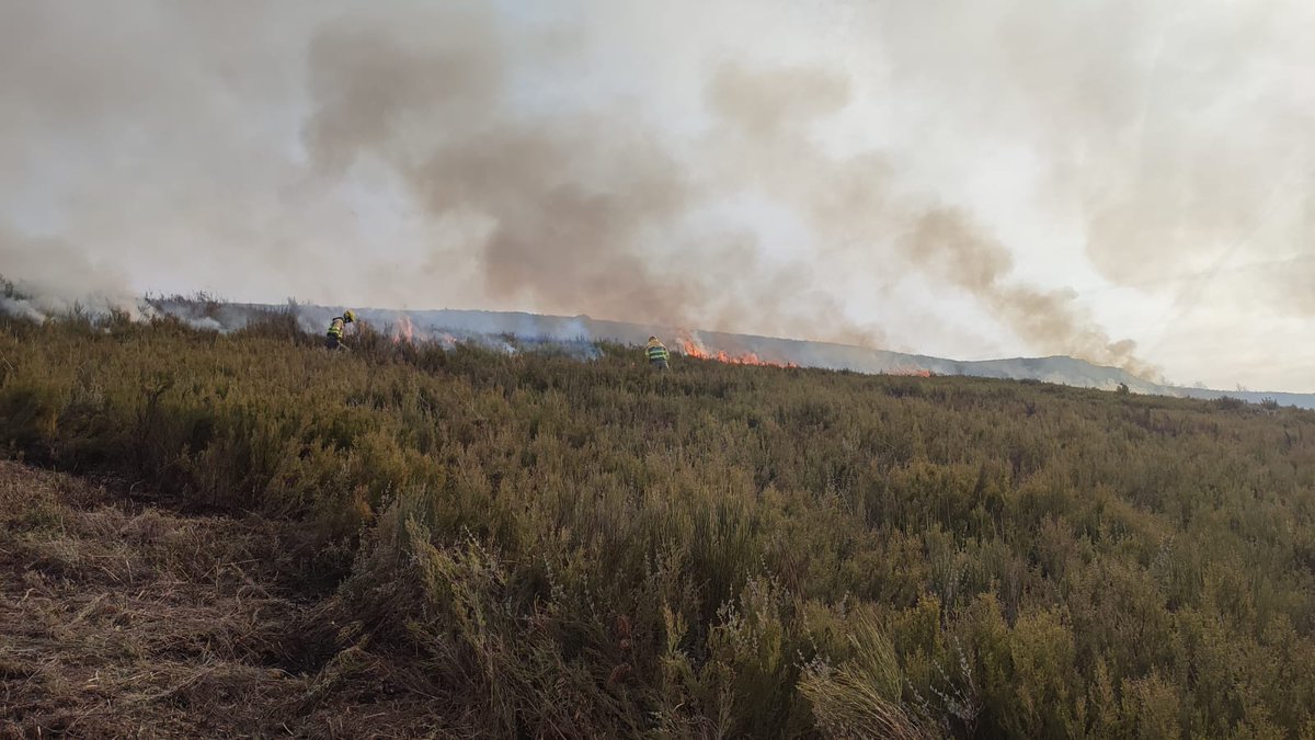 AT_Brif's tweet photo. #EPAIF Sanabria+medios @jcyl realizan quema prescrita en la localidad de Coso #Zamora con objetivo de regeneración y mejora de pastos para aprovechamiento ganadero y protección de la localidad, parcela de 12 ha.

Somos #BomberosForestales de @mitecogob y hacemos #PrevenciónIIFF https://t.co/ikF7ravXIc