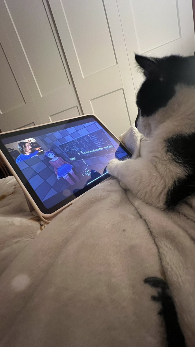 kaecupid's tweet photo. don’t interrupt her markiplier time https://t.co/c58QzEscXV