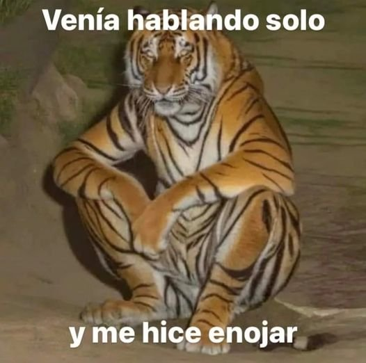 cartonero (@flanchota) on Twitter photo 