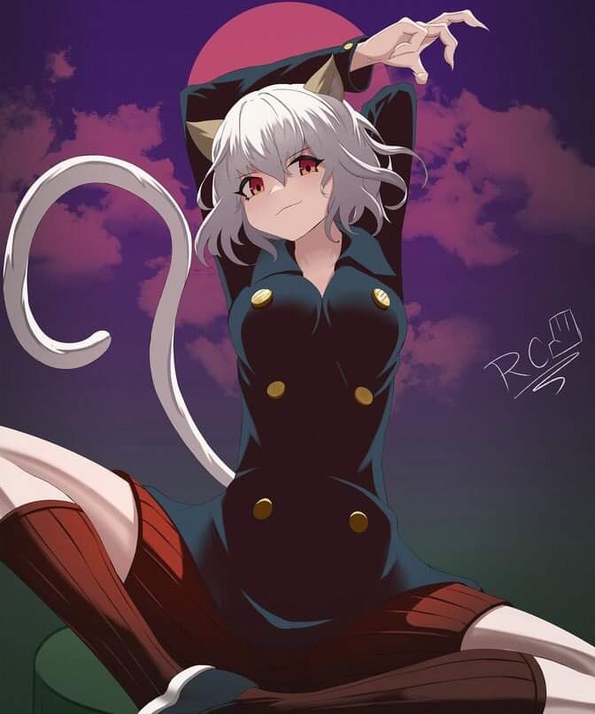 Daily Neferpitou (@daily_pitou) on Twitter photo 