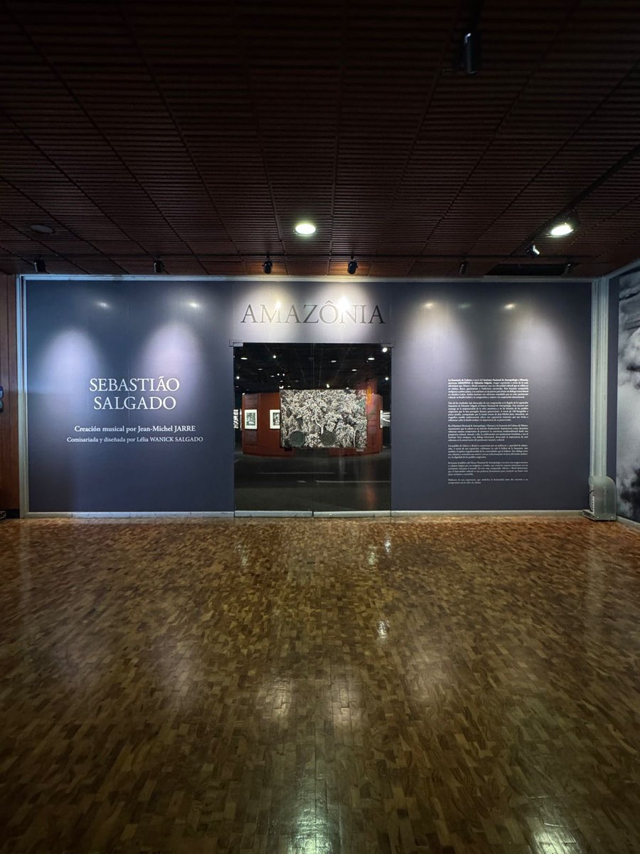 La Amazonía de Sebastião Salgado en el Museo Nacional de Antropología.

Descubre 230 impactantes fotografías que revelan la belleza y los desafíos de la selva amazónica y sus pueblos indígenas. Amazônia llega al MNA del 7 de febrero al 4 de mayo de 2025.🖼️