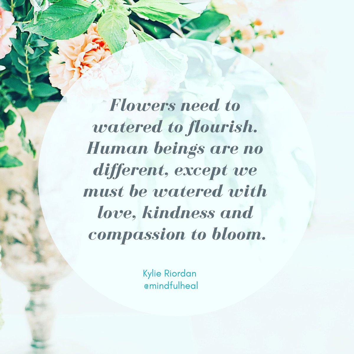 mindfulheal's tweet photo. https://t.co/7SUpjyxrf1