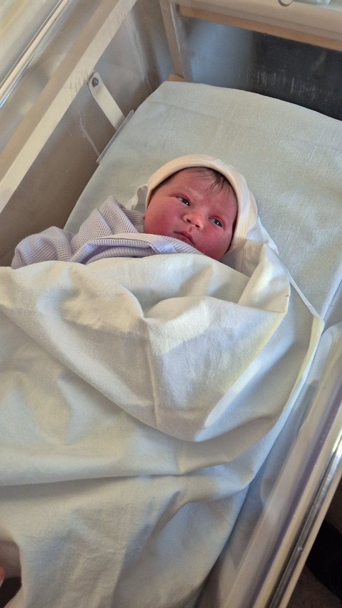 Jordan Daniels tweet media