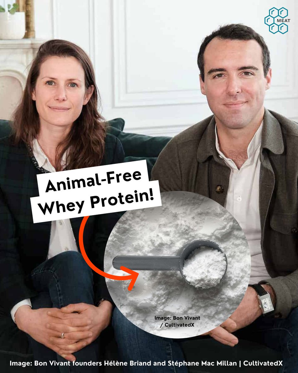 What Is Cultivated Meat? tweet media