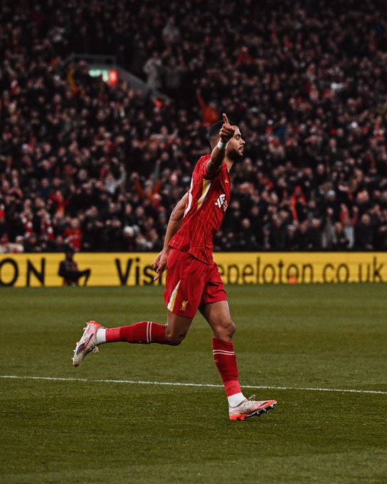 Photography of Cody Gakpo celebrating his goal against Tottenham.