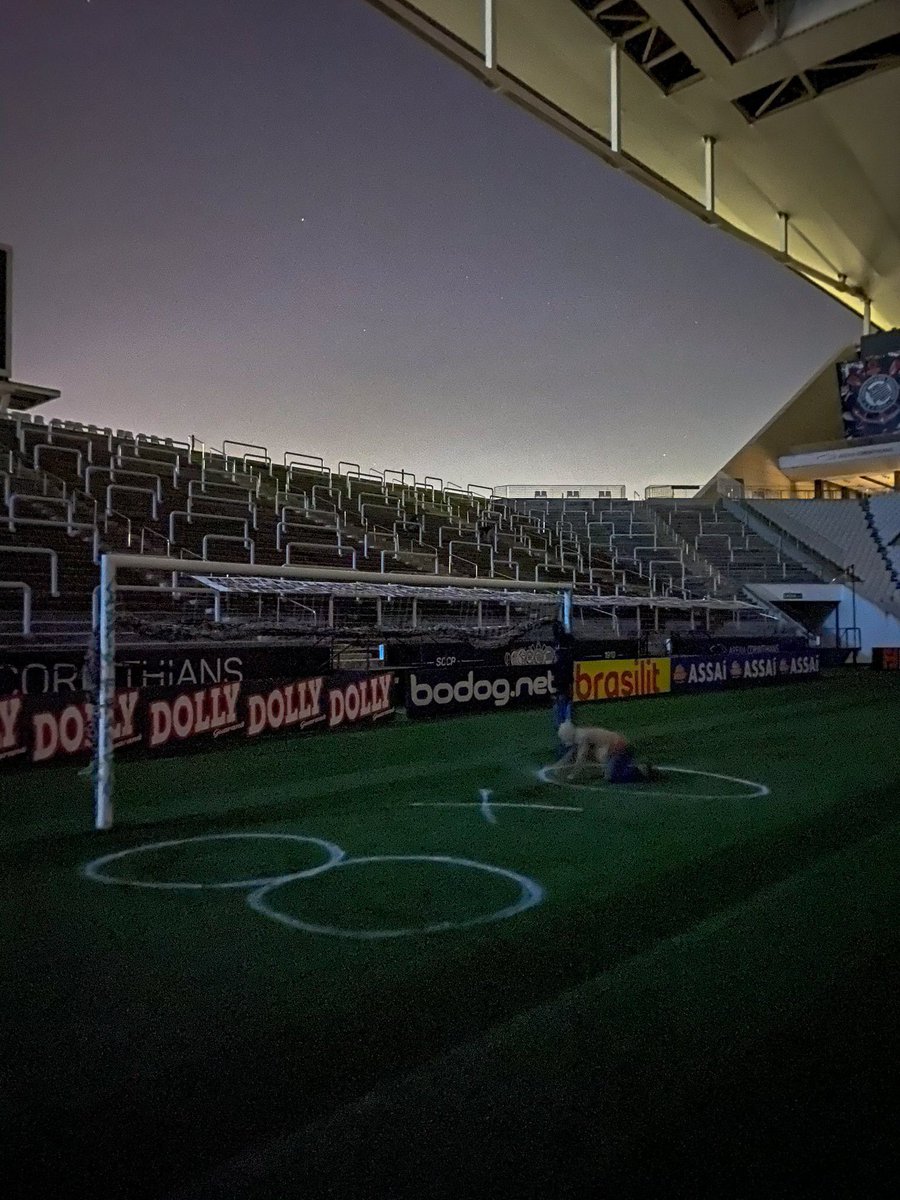 comprar um porco no açougue e tirar foto na rua nunca chegará aos pés disso

eles ainda sentem HAHAHA